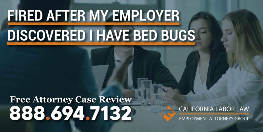 Fired After My Employer Discovered I Have Bed Bugs lawyer discrimination lawsuit attorney sue compensation