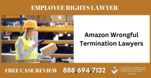 Hulu Wrongful Termination Lawyers